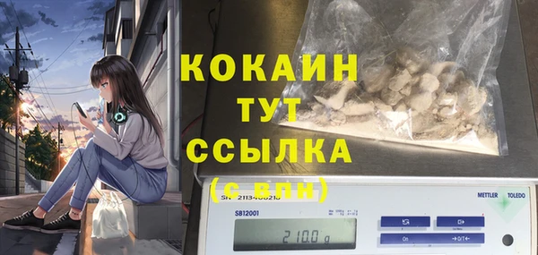соль ск Михайлов