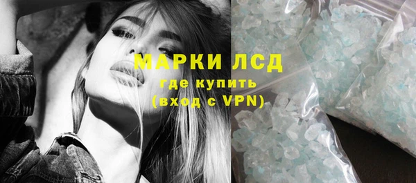 шишки Михайловск